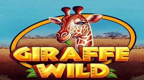 Giraffe Wild - Spin City - Congo